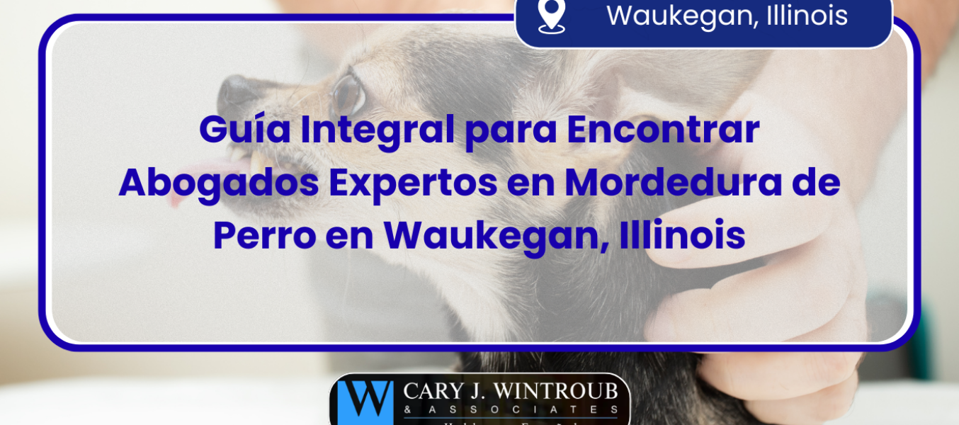 Guía Integral para Encontrar Abogados Expertos en Mordedura de Perro en Waukegan, Illinois